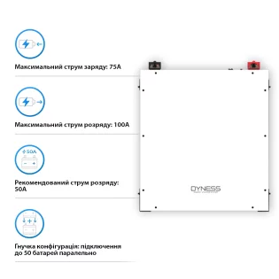 Акумуляторна батарея Dyness DL5.0C Heating LiFePO4 (5,12 кВт·год/ 48В) (Dyness DL5.0C)